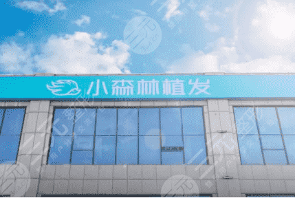 北京小森林医疗美容植发怎么样？附发际线种植果图+2021价格表