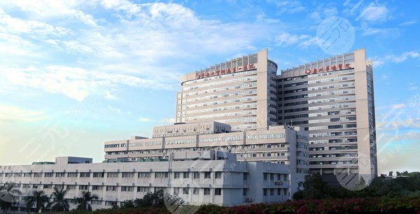 暨南大学附属第一医院整形美容科|怎么样|肖丽玲双眼皮