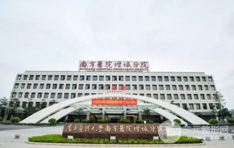 南方医科大学南方医院植发果图，植发价格表